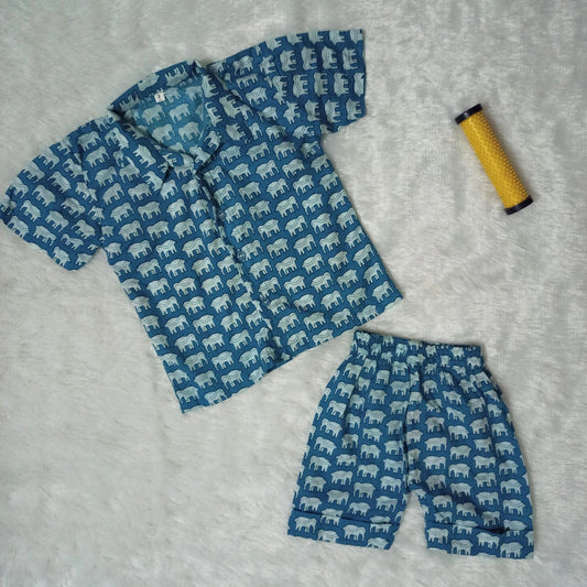 Blue Elephant Print Coord Set