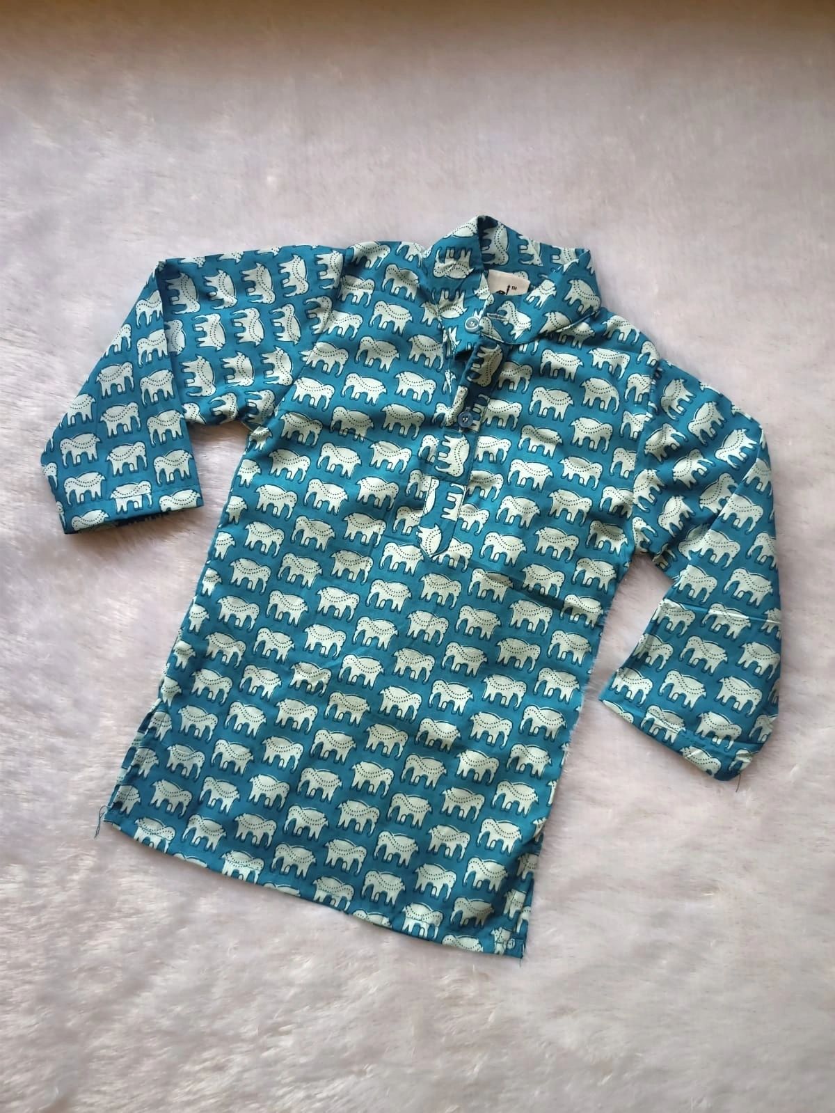 Light Blue Elephant Print Kurta