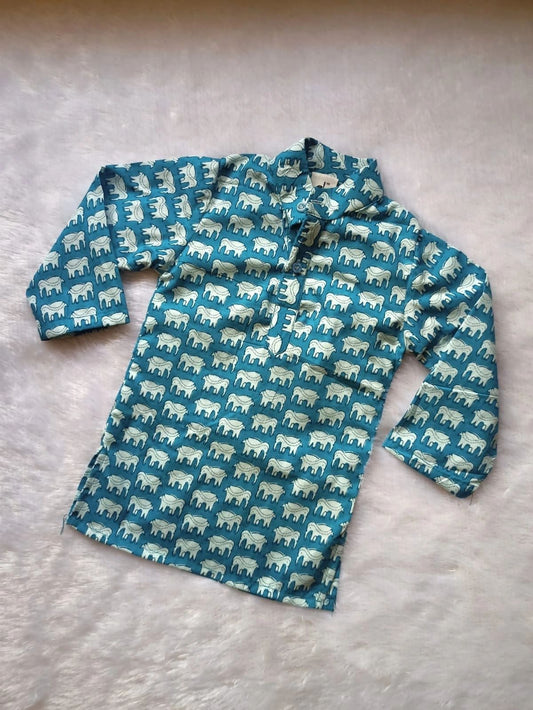 Light Blue Elephant Print Kurta
